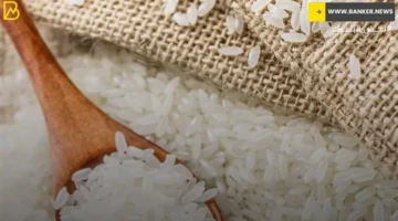 تغيرات الأسعار.. قائمة جديدة لبيع الأرز في الأسواق المصرية اليوم الجمعة